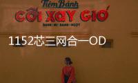 1152芯三網(wǎng)合一ODF配線柜圖文概述