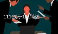 111(關于111簡述)