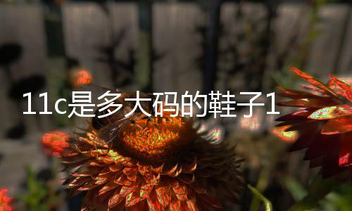 11c是多大碼的鞋子11c是多大碼
