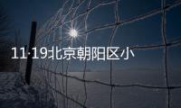 11·19北京朝陽區小武基村火災(關于11·19北京朝陽區小武基村火災簡述)
