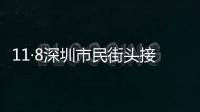 11·8深圳市民街頭接力擒匪事件(關于11·8深圳市民街頭接力擒匪事件簡述)