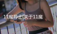 11魔導士(關于11魔導士簡述)