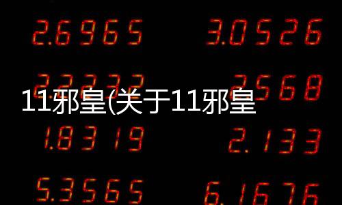 11邪皇(關于11邪皇簡述)