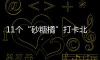 11個“砂糖橘”打卡北極消防站，東北“藍朋友”一對一接待