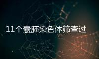 11個囊胚染色體篩查過篩率看這，7枚是否正常一文說清