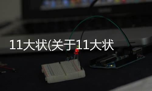 11大狀(關于11大狀簡述)