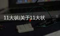 11大狀(關于11大狀簡述)