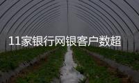 11家銀行網銀客戶數超6.5億