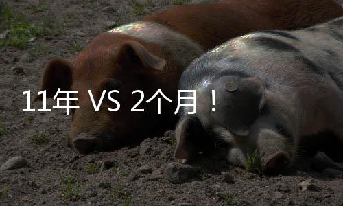11年 VS 2個月！這位老板的挖機夢因卡特彼勒而圓滿