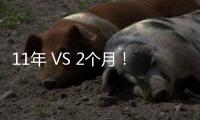 11年 VS 2個月！這位老板的挖機夢因卡特彼勒而圓滿
