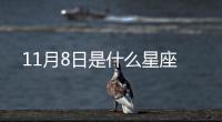 11月8日是什么星座