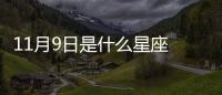 11月9日是什么星座 11月9日是什么座