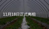 11月18日正式亮相 斯柯達(dá)SLAVIA諜照曝光