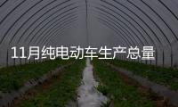 11月純電動車生產總量3萬輛 同比增7倍