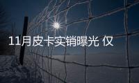 11月皮卡實銷曝光 僅一家銷量同比增長