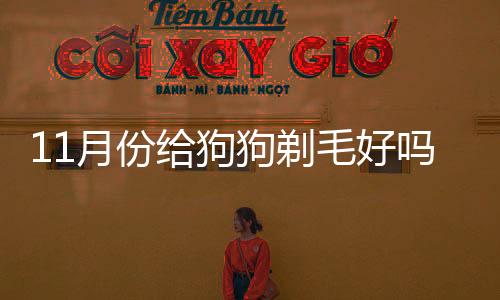 11月份給狗狗剃毛好嗎