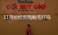 11月份給狗狗剃毛好嗎