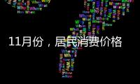 11月份，居民消費價格同比上漲2.4%