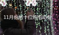 11月份前十位純電動專用車生產(chǎn)企業(yè)統(tǒng)計