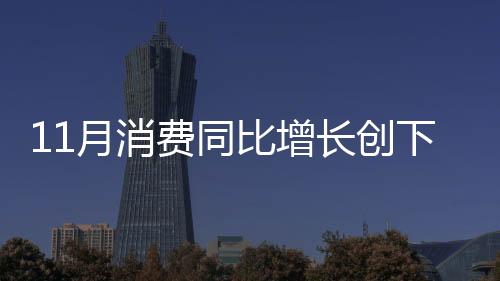 11月消費同比增長創下半年新高，預計外出及服務消費明年將繼續擴張