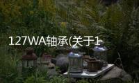 127WA軸承(關于127WA軸承簡述)