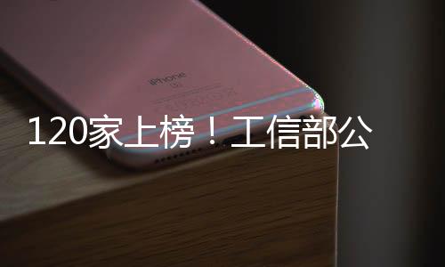 120家上榜！工信部公布第五批產業技術基礎公共服務平臺名單