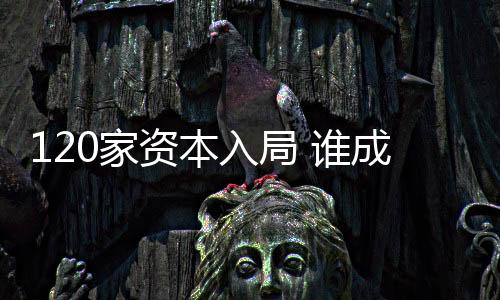 120家資本入局 誰成就了最“?！贝汗潤n