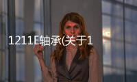 1211E軸承(關于1211E軸承簡述)