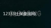 12333社保查詢網(關于12333社保查詢網簡述)