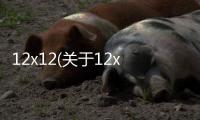 12x12(關(guān)于12x12簡述)