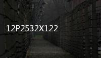 12P2532X122 VE4033S2B1詳情咨詢