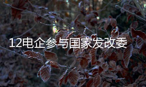 12電企參與國家發改委280兆瓦光伏項目招標