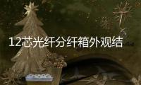 12芯光纖分纖箱外觀結(jié)構(gòu)
