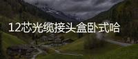 12芯光纜接頭盒臥式哈呋式直埋式接續盒