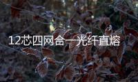 12芯四網合一光纖直熔箱應有盡有