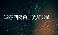 12芯四網合一光纖分線箱（12芯）