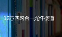12芯四網合一光纖樓道箱步驟介紹