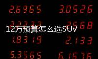 12萬預(yù)算怎么選SUV？隨大流兒不香么
