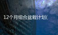 12個月組合盆栽計劃(關于12個月組合盆栽計劃簡述)