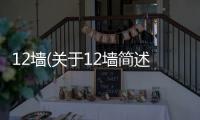 12墻(關于12墻簡述)