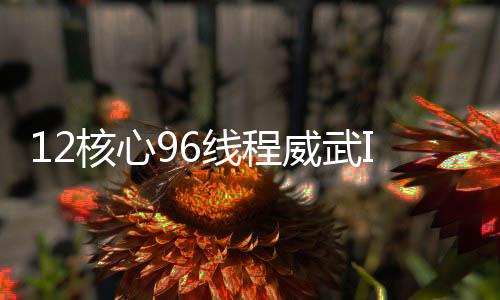 12核心96線程威武IBM發布Power8處理器
