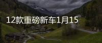 12款重磅新車1月15日在美國發布 均在華上市