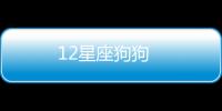 12星座狗狗