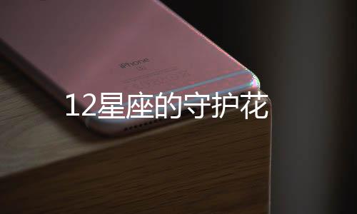 12星座的守護花