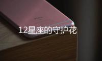 12星座的守護花