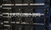 19天可以抱小狗嗎