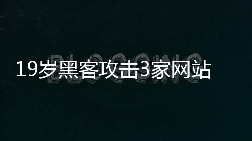 19歲黑客攻擊3家網站敲詐5.5萬