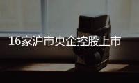 16家滬市央企控股上市公司路演：亮點多 分紅大 綠色足
