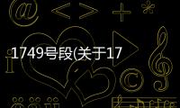 1749號段(關于1749號段簡述)