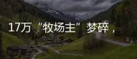 17萬“牧場主”夢碎，養羊理財平臺眾牧寶被查